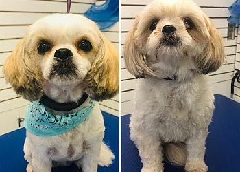 North Bay Salons de Toilettage Pour Animaux De Compagnie Pet Grooming By Kelly