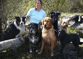 Kingston dog walker Pet Parade Plus