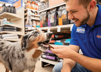 Grande Prairie dog trainer PetSmart Dog Training