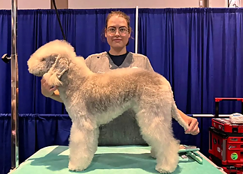 PetSmart Dog Training - Aurora, ON Dog Trainers