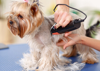 Delta pet grooming Pet Solutions Supermarket & Grooming Inc.