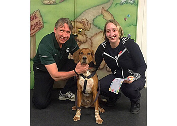 Vaughan dog trainer Pet To Pal Dog Training