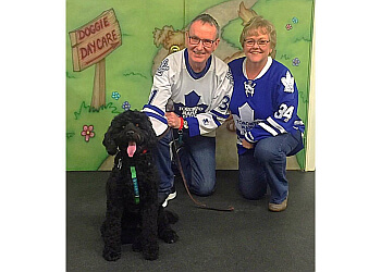 Vaughan dog trainer Pet To Pal Dog Training