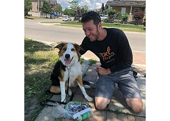 Pet To Pal Dog Training