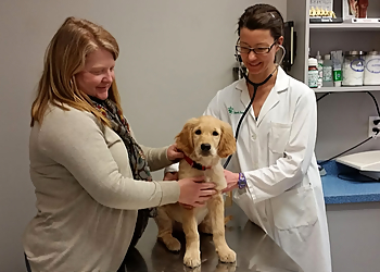 Peterborough Veterinary Services - Peterborough, ON Veterinary Clinics - Patient Image