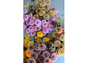 Norfolk florist Petit Flower Farm