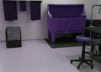 Terrebonne pet grooming Petits Poilus