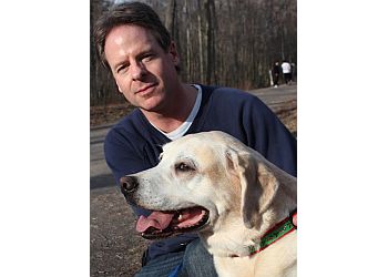 Kingston dog walker Petmate Homesitting