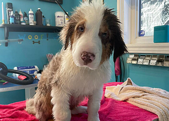 Moncton Salons de Toilettage Pour Animaux De Compagnie PET Studio Grooming by Sherry