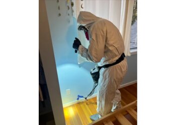 Vancouver pest control Phantom Pest Control