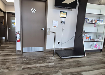 Pickering Animal Hospital - Pickering, ON Veterinary Clinics - Clinic Interior Image