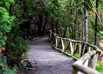 Pickering places to see Pickering Museum Village