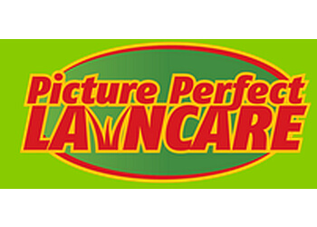 Medicine Hat Services d'extermination de parasites Picture Perfect Lawncare, Inc.