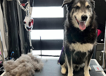 Granby pet grooming Pile-Poil Spa Canin & Boutique
