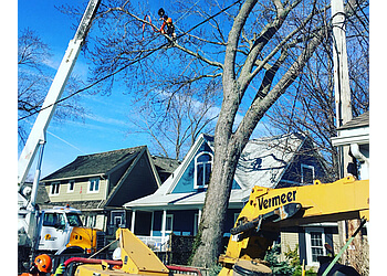 Niagara Falls Services d'arboriculteur Pineridge Tree Service