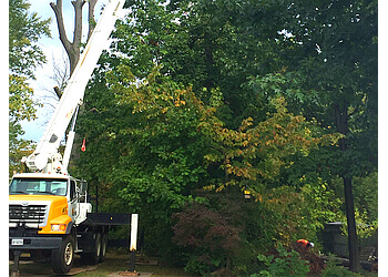 Niagara Falls Services d'arboriculteur Pineridge Tree Service