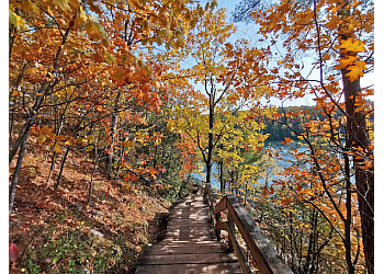 Gatineau hiking trail Pink Lake Trail