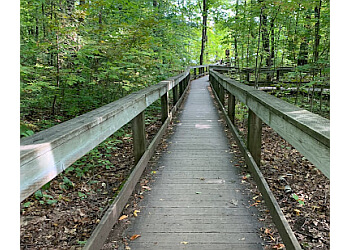 Gatineau hiking trail Pink Lake Trail