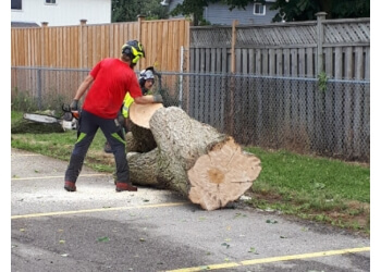 Kitchener Services d'arboriculteur Pinnacle Tree & Shrub Care