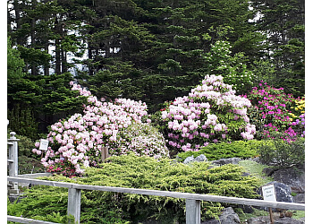 St Johns public park Pippy Park