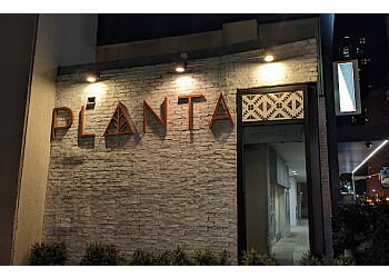 Toronto vegetarian restaurant Planta Yorkville
