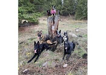 Kelowna Dresseurs De Chiens Polite Paws Training and Rehabilitation Centre