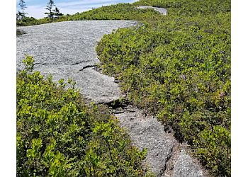 Halifax Sentiers De Randonnée Polly Cove Hiking Trail