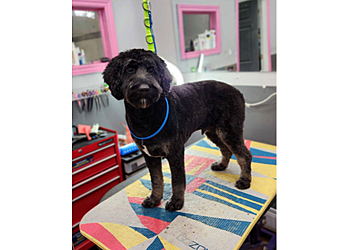 Mississauga pet grooming Pooches N' Pals Inc.