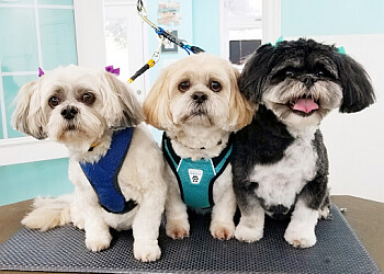 Markham pet grooming Poochies Paradise Spa