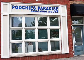 Markham pet grooming Poochies Paradise image 1