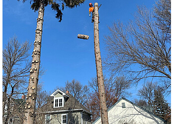 Saskatoon Services d'arboriculteur Porcupine Tree Care