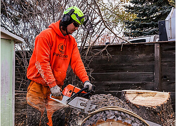 Saskatoon Services d'arboriculteur Porcupine Tree Care