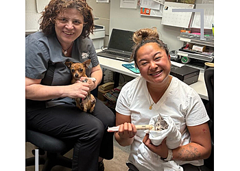 Port Coquitlam veterinary clinic Port Coquitlam Animal Hospital