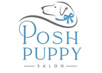 Orangeville pet grooming Posh Puppy Salon