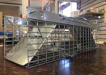 Winnipeg pest control Poulin's Pest Control