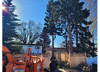 Airdrie Services d'arboriculteur Prairie Woodlands Tree Care Ltd.