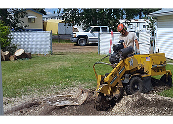 Airdrie Services d'arboriculteur Prairie Woodlands Tree Care Ltd.