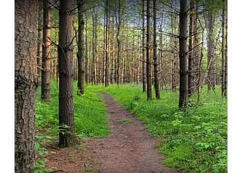 Guelph hiking trail Preservation Park