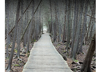 Guelph hiking trail Preservation Park