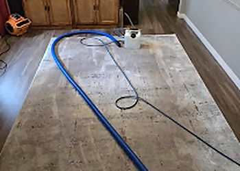 Whitby carpet cleaning Prestige Carpet Cleaning