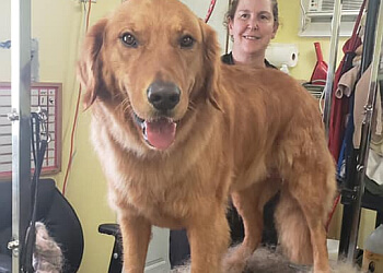 Airdrie Salons de Toilettage Pour Animaux De Compagnie Pretty Paws Pet Grooming