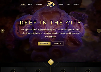 Primary Digital Marketing - Sault Ste Marie, ON Web Designers - Project Image
