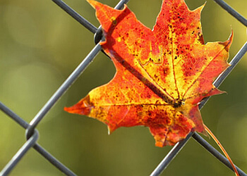 Grande Prairie fencing contractor Priority Chain Link Ltd.