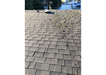 Coquitlam gutter cleaner Pristine Gutter Cleaning