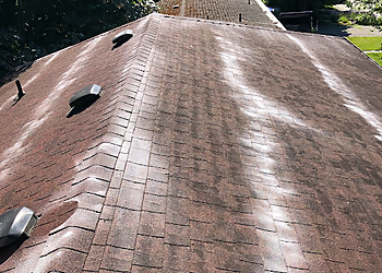 Pristine Gutter Cleaning Coquitlam gutter cleaner Pristine Gutter Cleaning