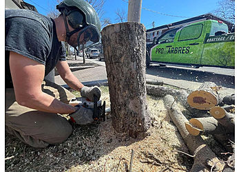 Brossard tree service Pro Des Arbres