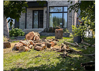 Brossard tree service Pro Des Arbres
