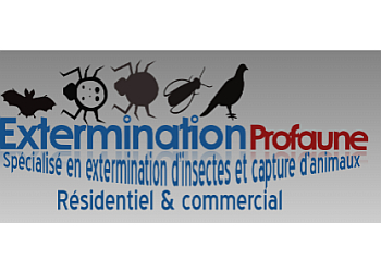 Blainville pest control Pro Faune image 1