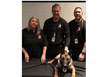 Winnipeg Dresseurs De Chiens ProK9 Winnipeg
