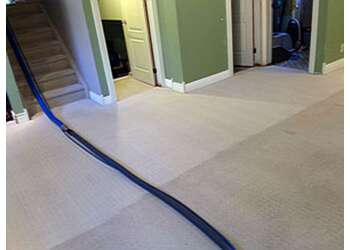 Belleville carpet cleaning Pro-One Carpet & Duct Cleaning